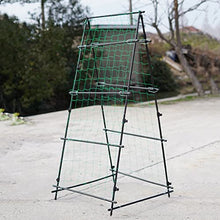Garden Metal Climbing Plant Support, Tubular Structure 1.8m Flowers Steel Weather Resistant Powder Coating Frame Stand Growth Support(
