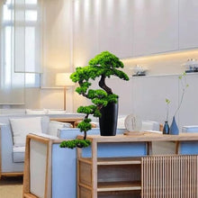QWERAXZG Simulation Welcome Pine Decoration Villa Living Room Porch Beauty Cliff Cypress Rockery Bonsai