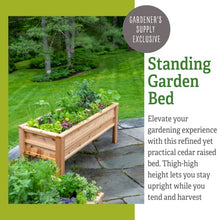 Gardener's Supply Company Craftsbury Cedar Wood Elevated Raised Garden Bed 2ft x 6ft