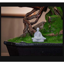 Simulation Welcome Songke Bonsai Office Decoration New Green Plants Living Room Entrance Decoration Podocarpus Hotel Gifts and Crafts House Plant (Color : C) (Green)