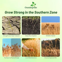 Outsidepride Perennial Tall Native Grass Seed Mix - 25 lbs. Blend of Drought-Tolerant, Low-Maintenance Bluestem, Switchgrass & Indian Grass Seeds for Wildlife Habitat, Erosion Control & Landscaping