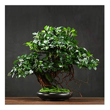 Simulation Bonsai Welcome Pine Ornaments Office Living Room Porch Decoration Crafts Opening Gift Plant House Plant (Color : L) (T)