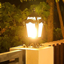 Outdoor Wall Lights, Strong Durable European Retro 2-Heads Lawn Garden Waterproof Outdoor Floor Lamp High E27 Pole Lamp Traditional Victoria Landscape Street Lamp Lawn Garden Pathway Lighting Landscap