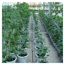 Botanical Garden Lawn Nozzle 50 Cm Hose 4 Curved Blue Arrow Drip Irrigation Emitter Kit Bonsai Flower Plant Drip Irrigation Dripper Water Saving (Color : 200PCS)