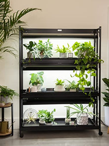 Gardener's Supply Company 3-Tier Grow Light Plant Stand with Three Watertight Shelf Trays | Includes 6 Bright 6500K Color LED Full-Spectrum Bulbs for Optimal Indoor Growing