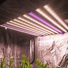 Samsung LM301B Diodes 12 Bar LED Grow Light Bar Full Spectrum UV IR TP-1200 Dimmable Timer Growing Lamp 1096W with Remote Control 7x7ft Coverage Replace HPS/MH2000W for Indoor Plants