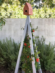 Modern Bird Bungalow with Trellis Regular (Zinc) - Terra Trellis