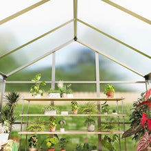 GarveeHome 8X12 FT Greenhouse for Outdoors, Walk-in Greenhouse Kit with Aluminum Frame, Polycarbonate Panels, Adjustable Roof Vent, Sliding Door, Secure Lock for Outside Garden, Patio, Backyard