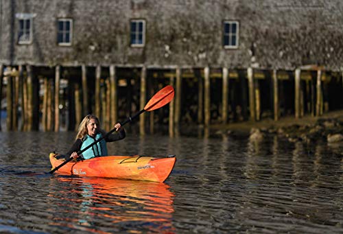 Old Town Canoes & Kayaks Sorrento 126SK Recreational Kayak Black Cherry
