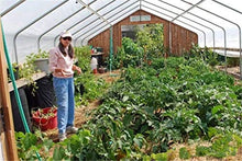 Whryspa Greenhouse Polyethylene Film 10 Meters Wide (32.8 Feet) 2-50 Meters Long Transparent Plastic Film,10x12m