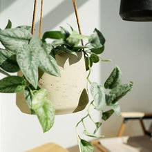 SDREYKUF Wall Hanging Cement Pot Plant Basket Balcony Orchid