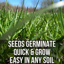 Crooked Bend Memas Moo Mix, 50LB Bulk, Farm Pasture Seed Blend for Horse, Cattle, Pig, Goat, Chicken, Duck, Sheep & Livestock, Grow Alfalfa & Perennial Grasses Fields, Graze & Cold Tolerant