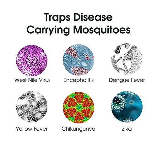 Mosquito Magnet MM3300B Executive Mosquito Trap Black