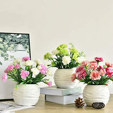 European-Style Simulation Carnation Silk Flower Small Bonsai Simulation FlowerPlastic Small Simulation Flower House Plant (Color : B) (D)