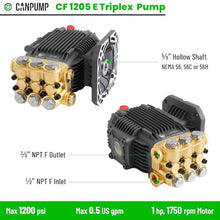 Canpump CF 1205 E: 1200 psi @ 0.5 US gpm, 5/8-in Shaft Misting Pump