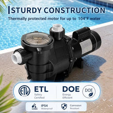 In/Above Ground Pool Pump 2.5 HP 115V/230V Dual Voltage