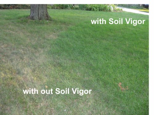 Soil Vigor Potassium Polyacrylate for Garden 45 White