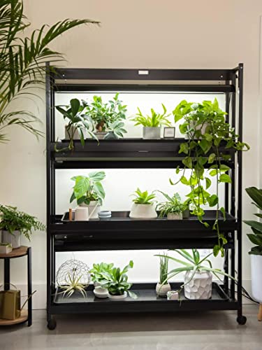 Gardener's Supply Company 3-Tier Grow Light Plant Stand with Three Watertight Shelf Trays | Includes 6 Bright 6500K Color LED Full-Spectrum Bulbs for Optimal Indoor Growing