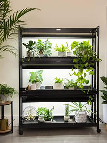 Gardener's Supply Company 3-Tier Grow Light Plant Stand with Three Watertight Shelf Trays | Includes 6 Bright 6500K Color LED Full-Spectrum Bulbs for Optimal Indoor Growing