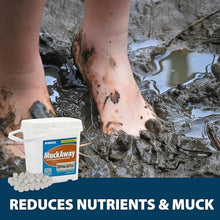 Airmax ClearPAC Plus Complete Pond Maintenance Kit Water Treatment 1/4 Acre