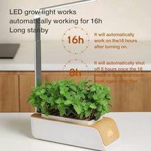 BTURYT Hydroponic Systems, Interior Plants Cultivation Lights, Without Seasonal Restrictions, Adjustable Height, Interior Gardening Kit, Suitable for Seedlings/Seeds/Succulents