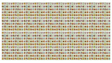 Set of 1000 Assorted Valley Green Flower Seed Packets! Flower Seeds in Bulk - 20+ Varieties Available! (1000)