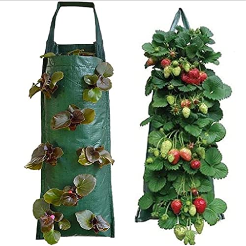 BBYYDS 48 Pockets Strawberry Planting Bags Garden Plant Grow Hanging Planter Pot Potato Plants Support for Veg Herbs Flowers