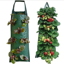 BBYYDS 48 Pockets Strawberry Planting Bags Garden Plant Grow Hanging Planter Pot Potato Plants Support for Veg Herbs Flowers