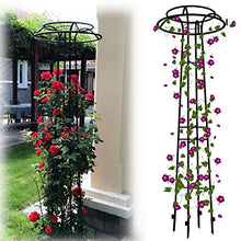 SDdPulse Large Garden Obelisk Climbing Plant Support Frame, Outdoor PatioGarden Arbor for Various Climbing Plant Lawn Backyard, 55 * 205cm