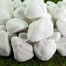 Southwest Boulder & Stone Porcelain White Pebbles | 1000 lbs | Natural Rocks, White Stones for Potted Plants, Gardening, Succulents, Aquariums, Terrariums, and More (1/4 Inch)