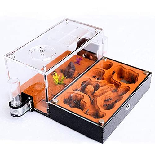 Acrylic Flat Ant Farm Large Plaster Ant Nest Big Gypsum Pet Anthill Insect Castle Workshop Villa Ant House with Feeding Area (A+ 22.3x19.7x9.5cm)