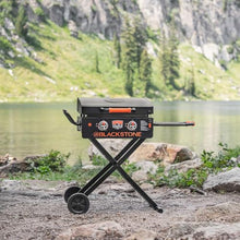 Blackstone On The Go 22 in Omnivore Griddle RV-Ready Package