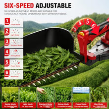 piudoiliy Handheld Tea Leaf Harvester,Portable Hedge Trimmer,Cordless Lightweight Tea Plucker, for Tea Gardens/Small Farms