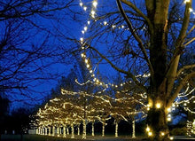 Novelty Lights 12-Pack, 34 Feet 100 Light Brown Wire LED Christmas Lights Outdoor, Commercial Grade, Warm White, 5mm Bulbs, UL Listed, Connectable up to 714 Feet