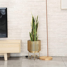 SIDUFHAOPKLL Indoor Floor Plant Rack Living Room Green Rose Iron Flower Large Flowerpot Gold(30x40cm)