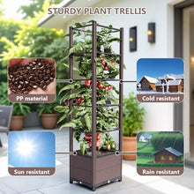 Raised Garden Bed with Trellis, Planter Box with Drainage, Vertical Garden Planter for Outdoor Growing Climbing Plants, Vegetables, Flowers, Fruits