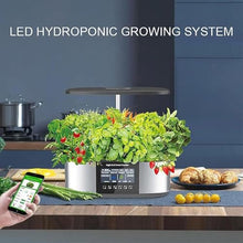 Indoor Hydroponics System Indoor Garden Intelligent Control System + 4.8In LCD Screen, 36W LED Grow Lights - Height Adjustable,Gardening Gifts for Women Mom wyqdp240305