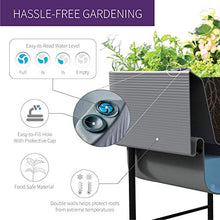 Crescent Garden Nest Indoor/Outdoor Raised Garden-Bed Planter Box 22-Inch x 44-Inch Olive