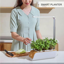 BTURYT Complete Hydroponic Culture System, Light Lamp for Plants, Retractable Light Post, Automatic Filling Light, Interior Herbal Kit, Suitable for Home, Kitchen