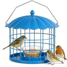 Bird Feeder for Backyard Garden Wildlife Feeding Darlipet Bird Feeders for Outdoors Hanging, Weather Resistant Wild Bird Feeder