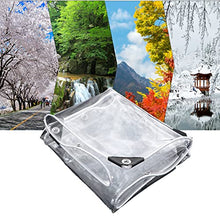 SCNSYL Transparent Waterproof Tarp 29.5x29.5ft,Heavy Duty PVC Clear Tarpaulin Sheet,Rainproof Outdoor Garden Plant Canopy Cover,Tarp with Grommets,Transparent