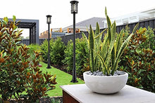 Z-Lite 1 Light Outdoor Post Mounted Fixture Oil Rubbed Bronze