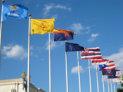 Flagline 50 US States 2' x 3' Nylon Flag Set