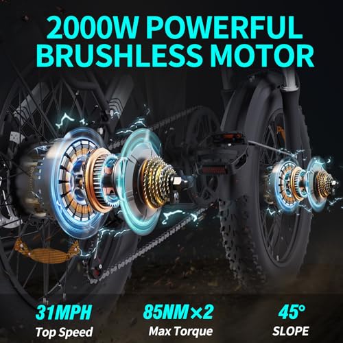 Bopzin Folding Electric Bike for Adults - Dual Motor 2000W 31MPH Ebike 20''-2000W 48V 23AH -Foldable