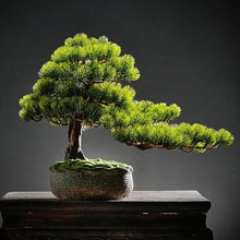 YXIANG56Q Fake Plants Entrance TV Cabinet Office Soft Living Room Decorations Zen Simulation Welcome Pine Bonsai Ornaments Bonsai Tree
