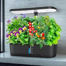FLTRGO Indoor Hydroponic System,Aeroponics Growing Kit,Indoor Hydroponics Growing System,for Herbs, Fruits and Vegetables,with Hydrating Pump, Adapter, Net Pots.