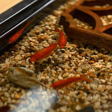 Chinese Kung Fu Office Water Flow Fish Farming Tea Table Room Kung Fu