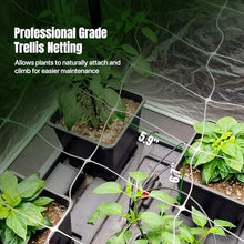 Hortomallas 6.5 Feet by 4920-Feet Professional Grade Vegetable Support Trellis Netting Roll/Scrog Net Roll, (79" x 4920' / 2m x 1500m) (mesh 5.9"x6.7" / 15cm x 17cm)