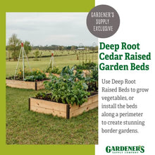 Gardener's Supply Company Raised Garden Bed | Outdoor Cedar Planter Box w/Extra Deep Height for Rooted Plants, Herbs Flowerbed & Vegetable Garden Wooden Box | 3' W x 12' L x 14" H