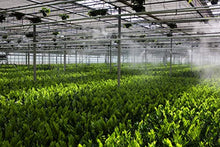 Mistcooling Automatic Greenhouse Humidification System with Misting Pump and Humidity Controller Beige Tubing